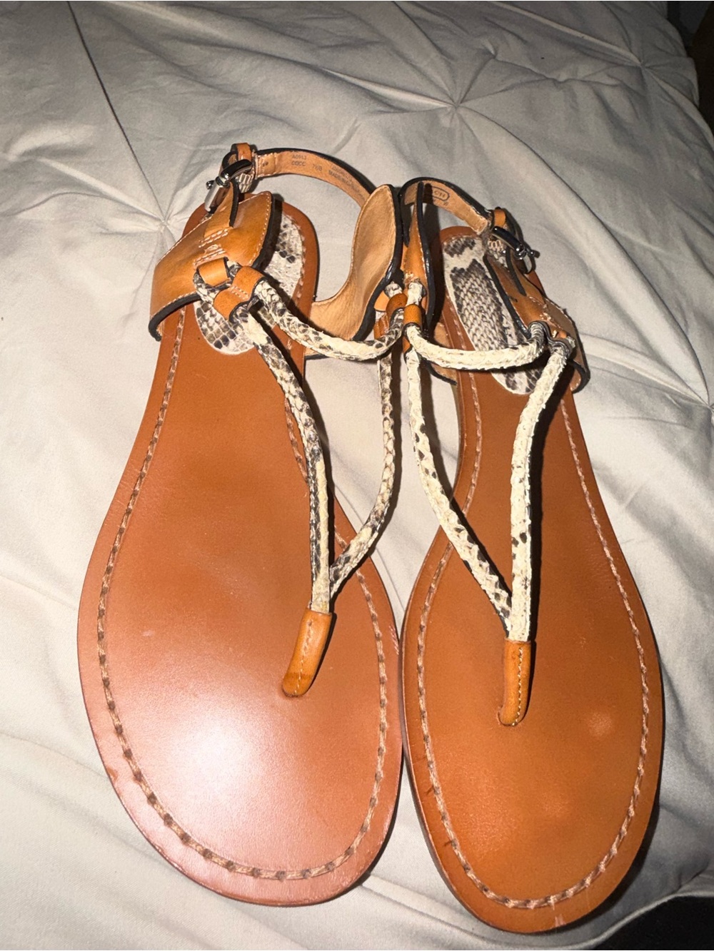 COACH Leather Snakeskin Print